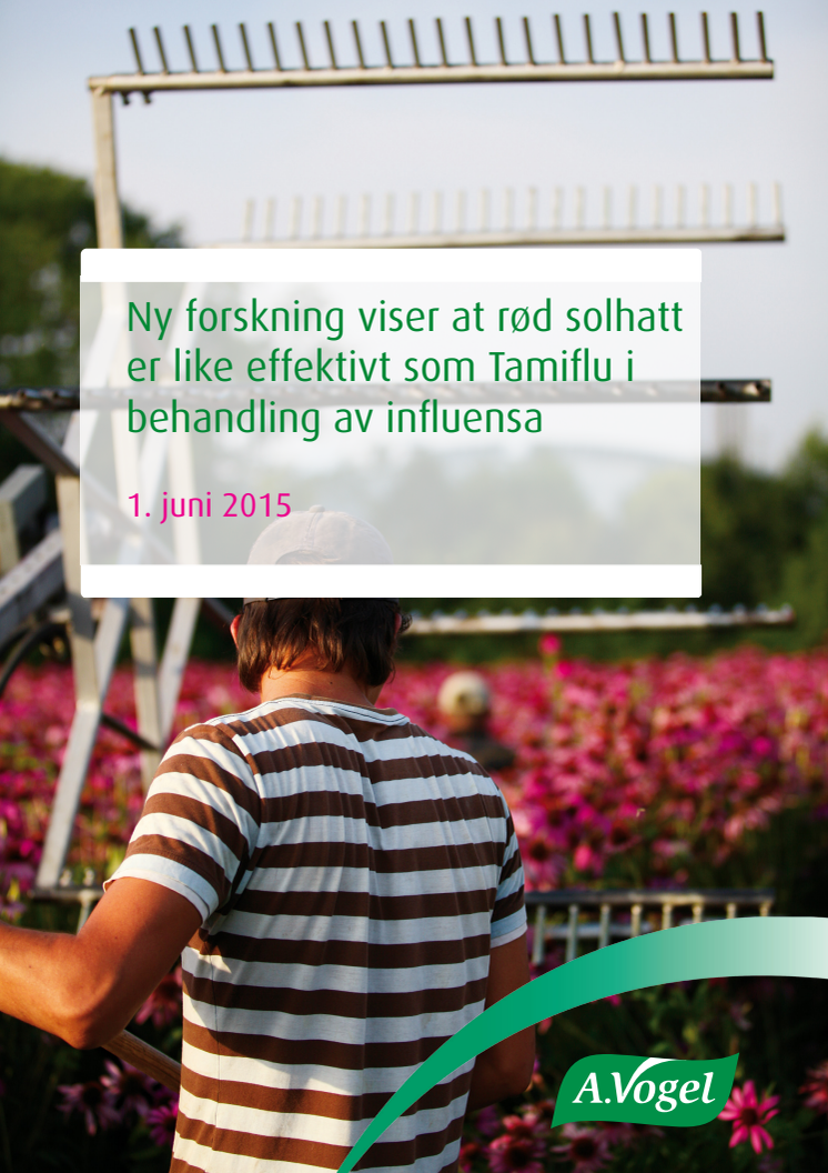 Ny forskning viser at rød solhatt er like effektivt som Tamiflu i behandling av influensa