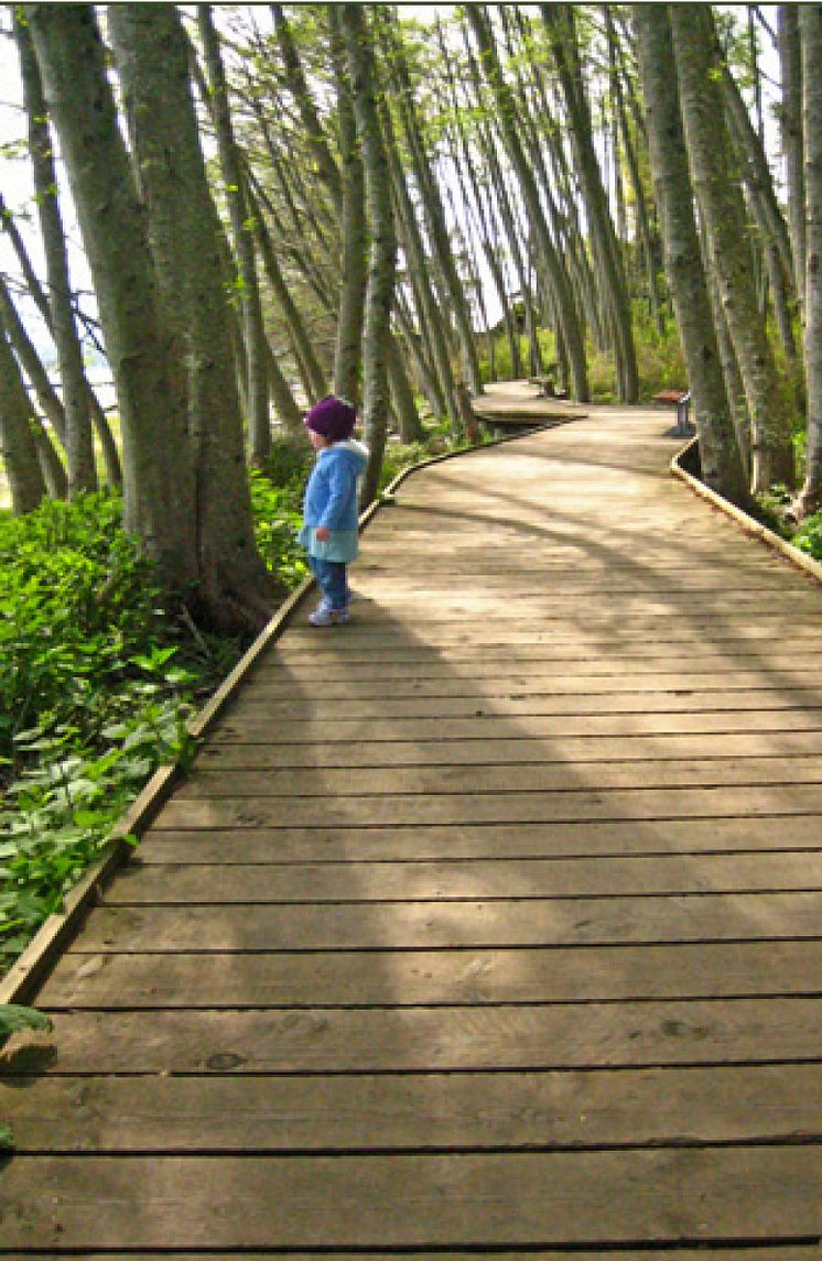 Del av bryggan längs strandpromenaden
