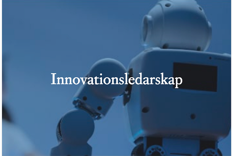 Innovationsledarskap