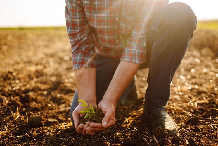 Schafwollpellets und Carbon Farming