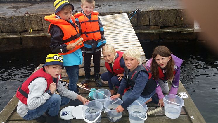 Lägerbarn sommaren 2016, Strandskolan, Havets Hus i Lysekil