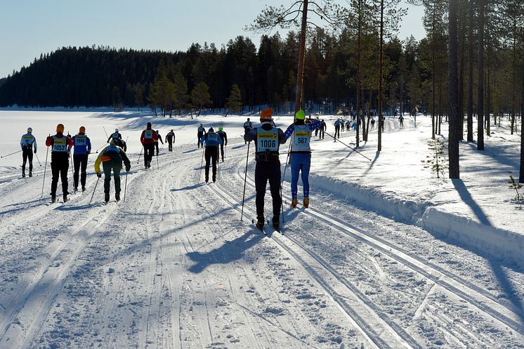 Bara ett fåtal startplatser kvar till Vasaloppets vintervecka 2014