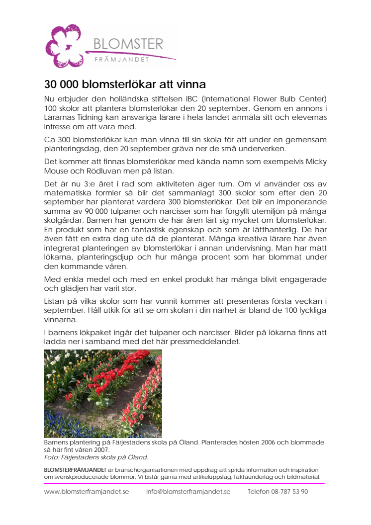 30 000 blomsterlökar