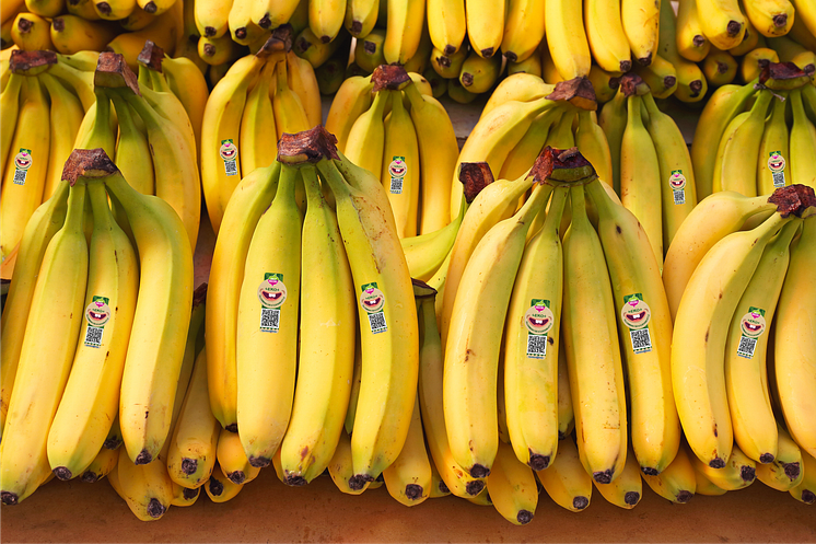 Bananer med Operation Smile loggan