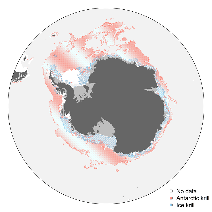 krill comparison map hatched