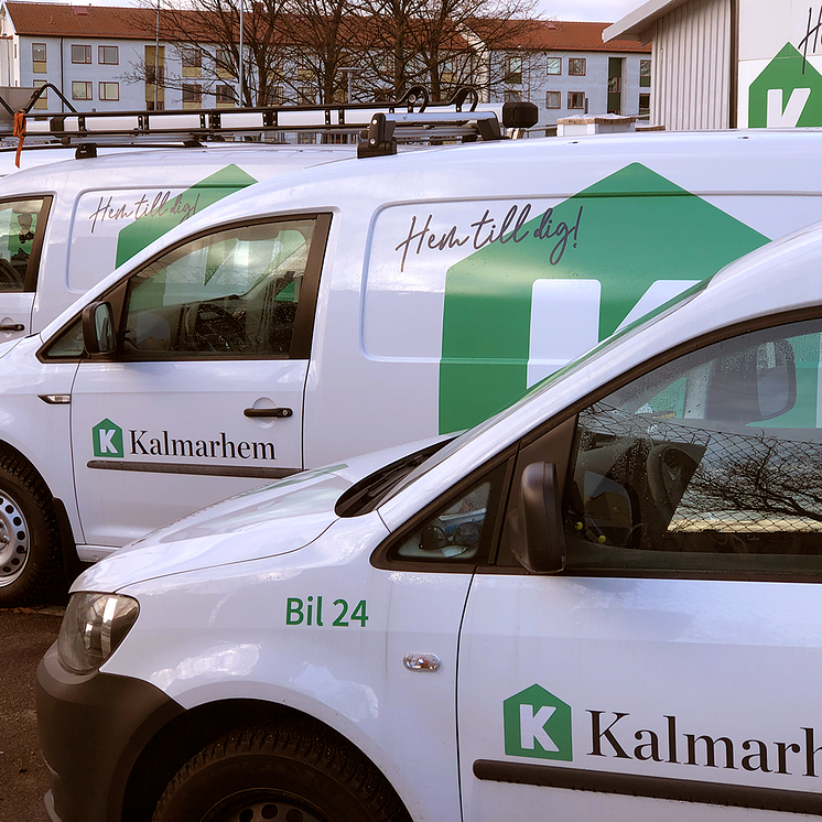 bil, bilflotta