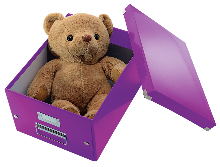 Leitz Click & Store Teddy Bear