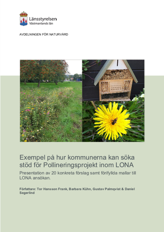 Rapportframsida LONA-projekt pollinering