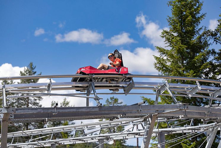 SkiStar Mountain Coaster Sälen.jpg