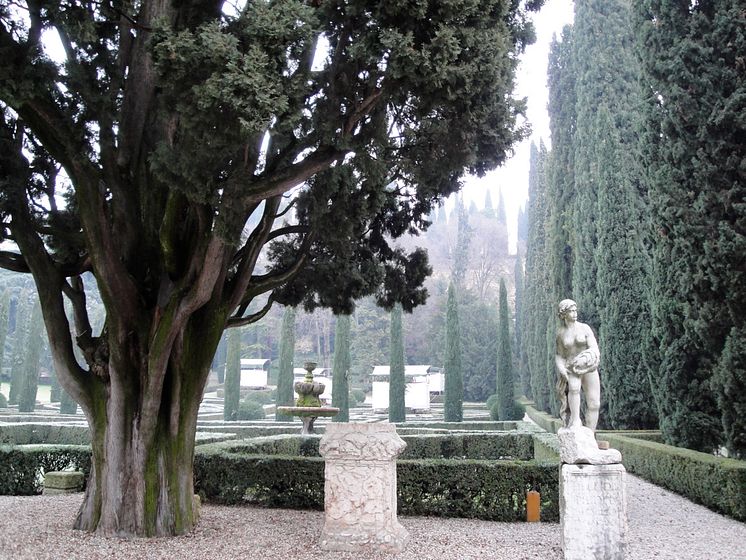 Giusti del Giardino