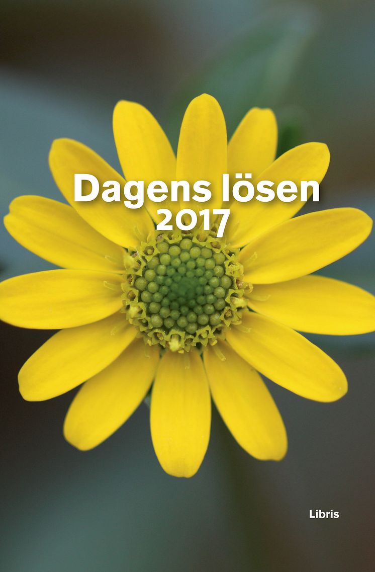 Omslagsbild: Dagens lösen 2017