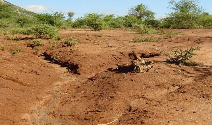 Klimatförändringarna påverkar merparten av världens 700 miljoner fattiga som försörjer sig på jordbruk, men hur mycket rapporterar egentligen de svenska medierna?