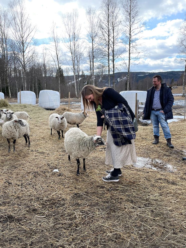 Kristina och Tobias med får företaget Isunne