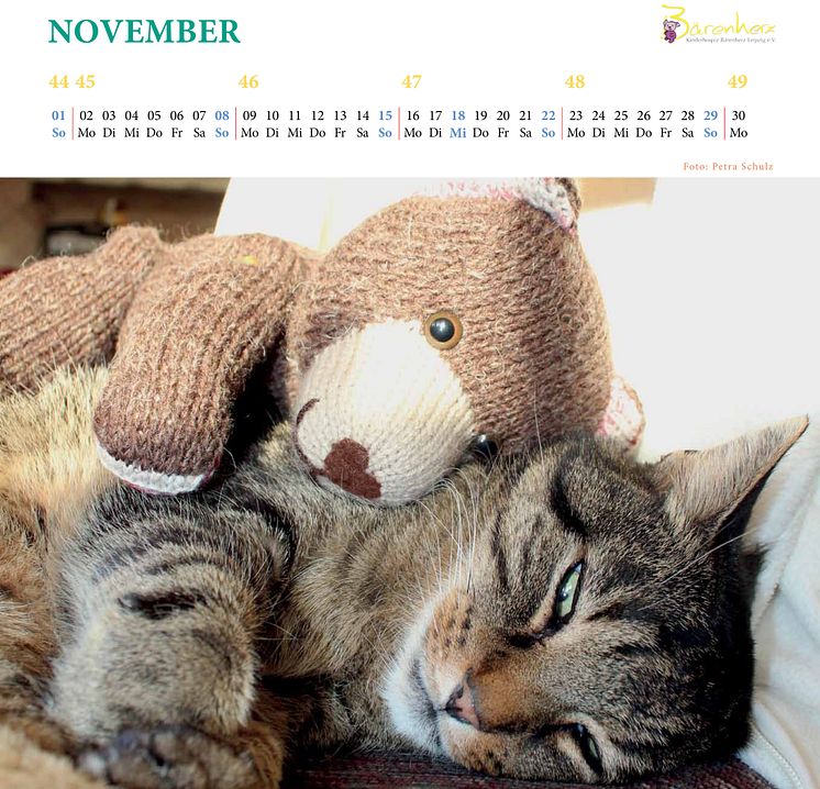 Bärenherz-Kalender 2015: Jeder Monat präsentiert bunte Strickbärchen in Aktion