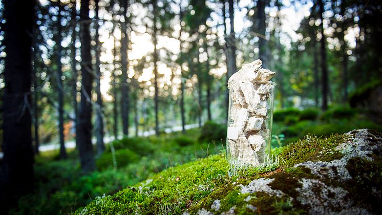 Single cell protein i skog