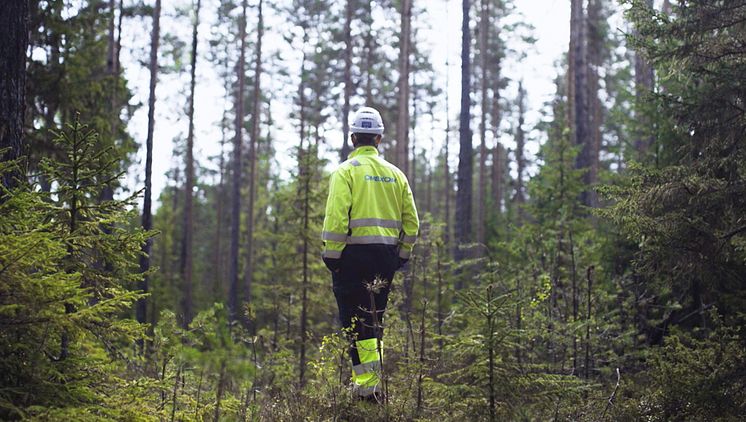 Omexom sammankopplar förnybar energi till elnätet i norra Sverige 