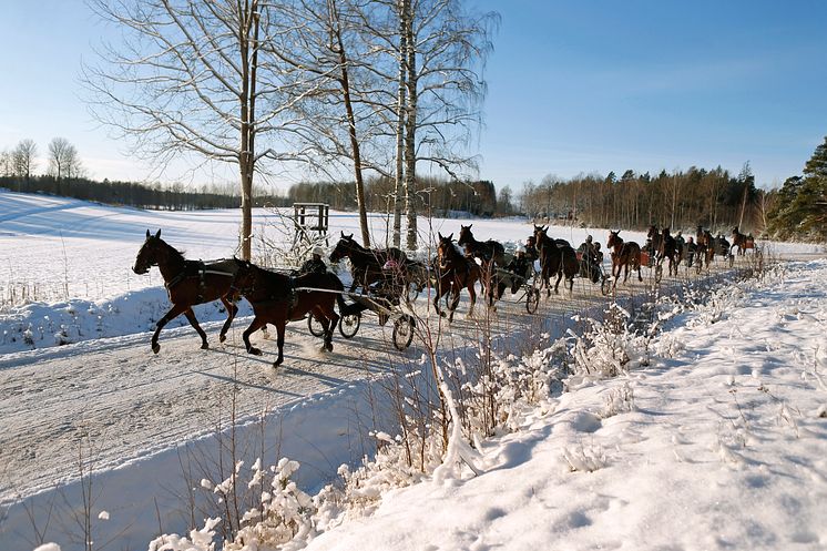 Vinterträning hos Timo Nurmos_1173