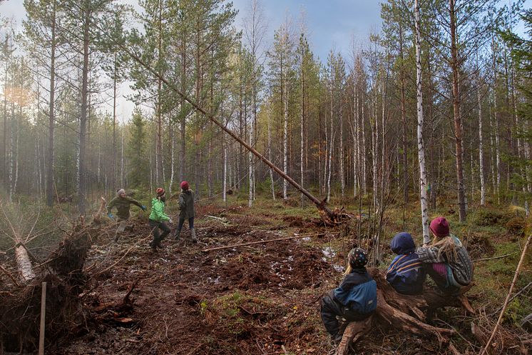 KUVAJOURNALISTI_touko_hujanen_KUJ01 (3)