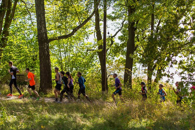 Lidingöloppet, löpare på rad