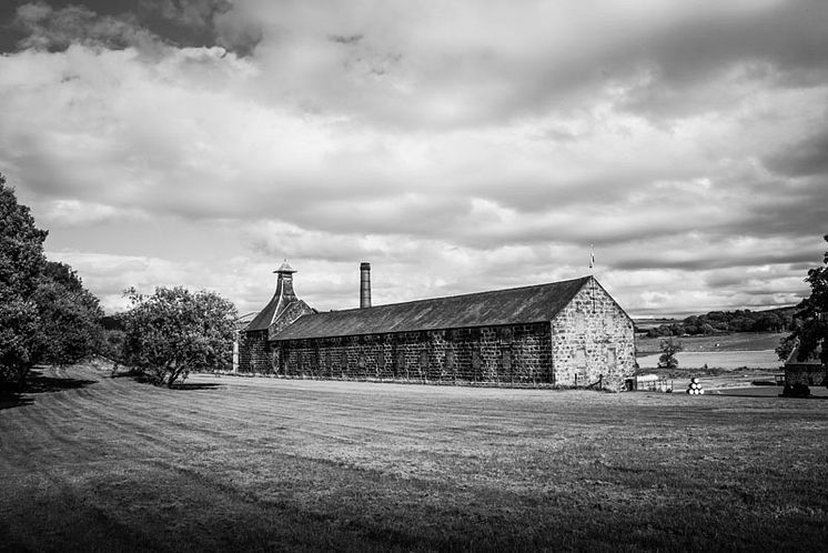 knockdhu distillery