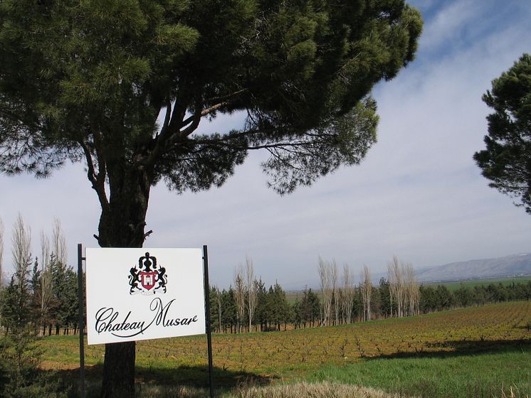 Chateau Musar