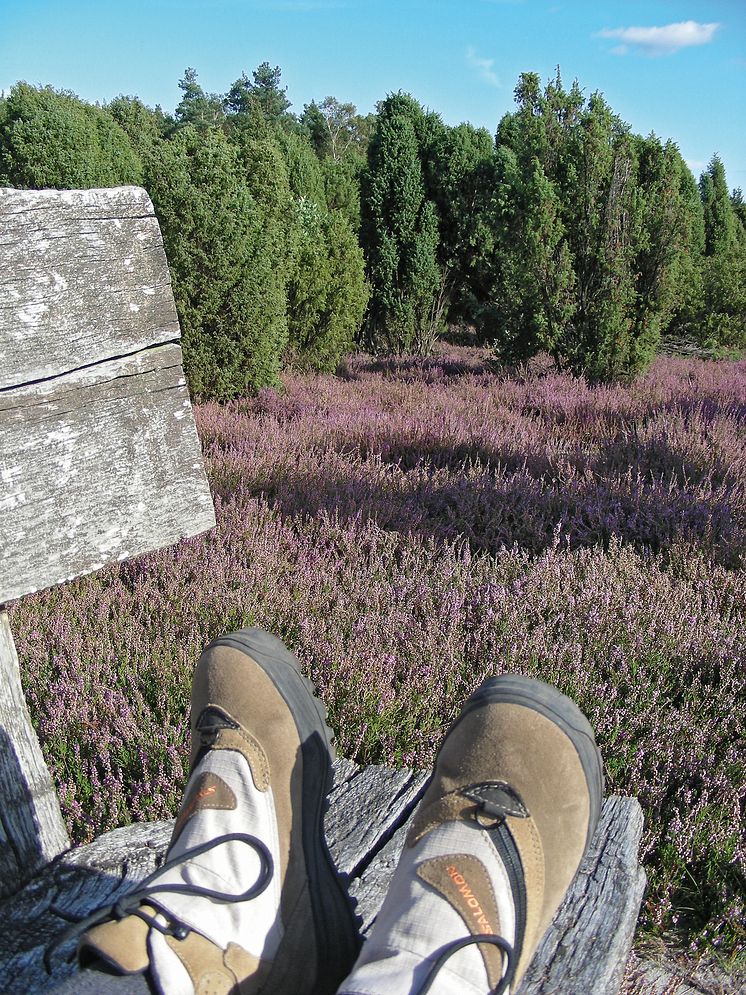 Pilgrimsruten Jakobusweg Lüneburger Heide indgår i et stort net af pilgrimsruter i Europa