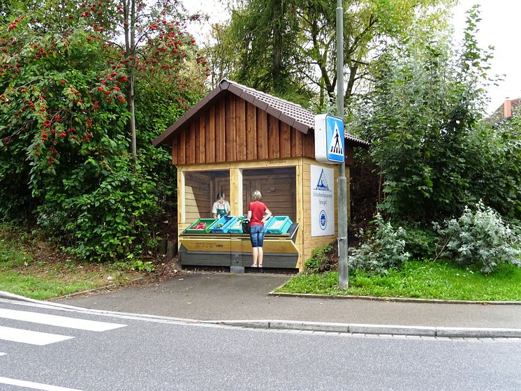 Am Trafo an der Ecke Gerolsbacher Straße/Pfaffenhofener Straße in Schrobenhausen gibt es nun einen Spargelverkaufsstand – wenn auch nur als Spraykunst.