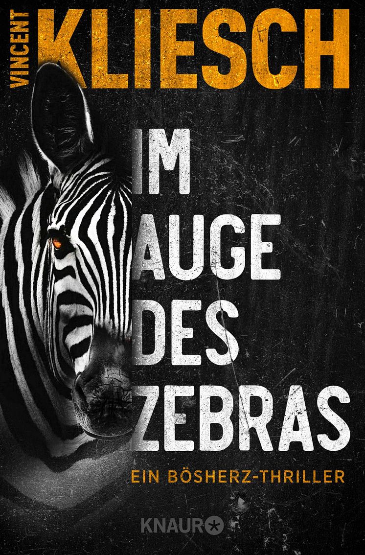 Kliesch_Im Auge des Zebras.jpg