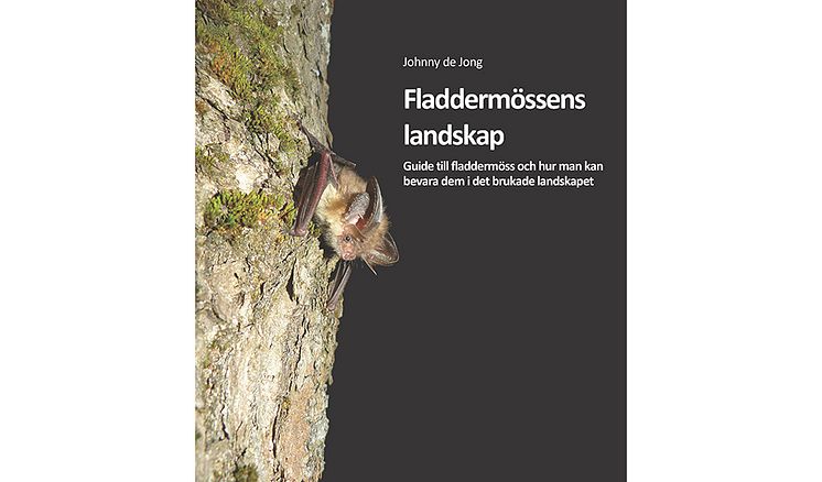 fladdermossens-landskap-omslag-960