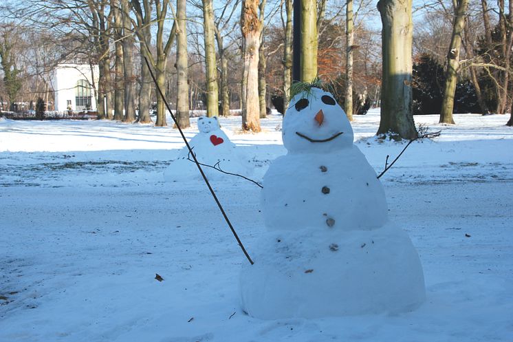 Schneemann_2012