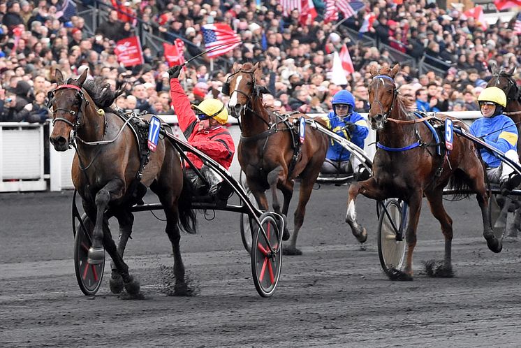 Bold Eagle vinner Prix d'Amerique