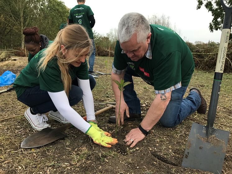 Tree planting 2