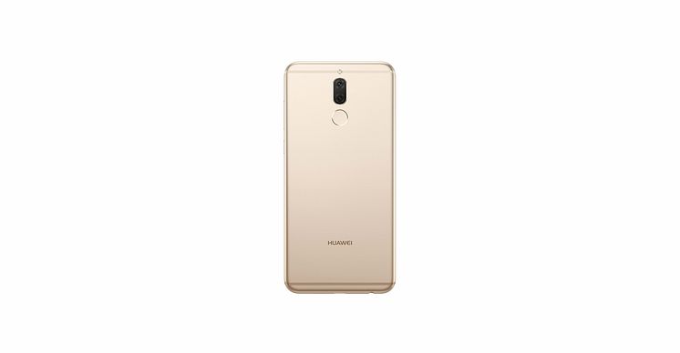 Mate 10 Lite Gold Back