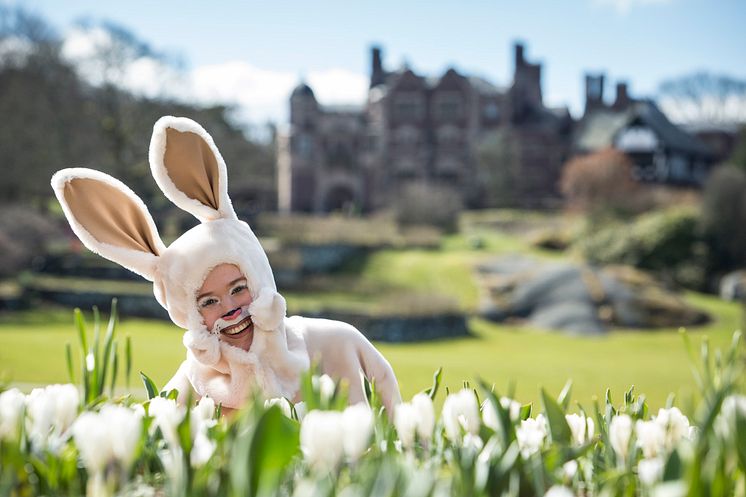 Påskharen framför Tjolöholms Slott foto Will Rose