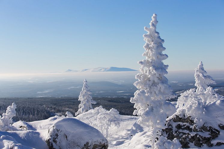 Vintervackert i Vemdalen 