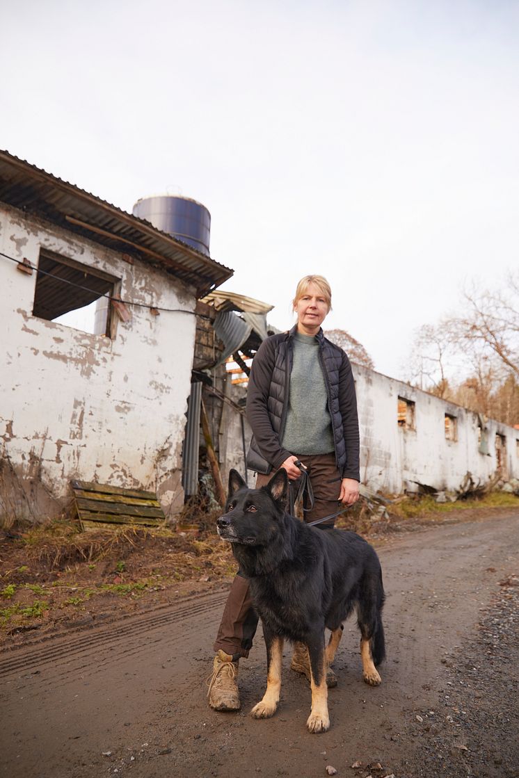Årets Bragdhund 2024 Spårmarkens Otiz Fotograf Tord Saxin -2.jpg
