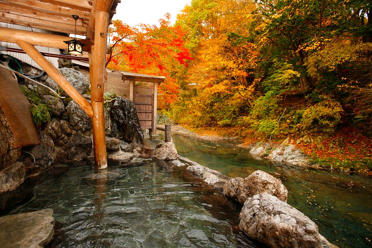 Honke Bankyu(4)  Fujikura no Yu outdoor bath