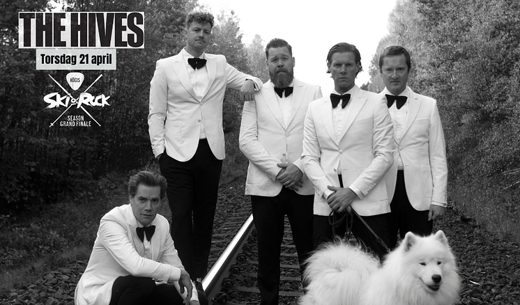 MyNewsdesk The Hives (960 × 564 px).png