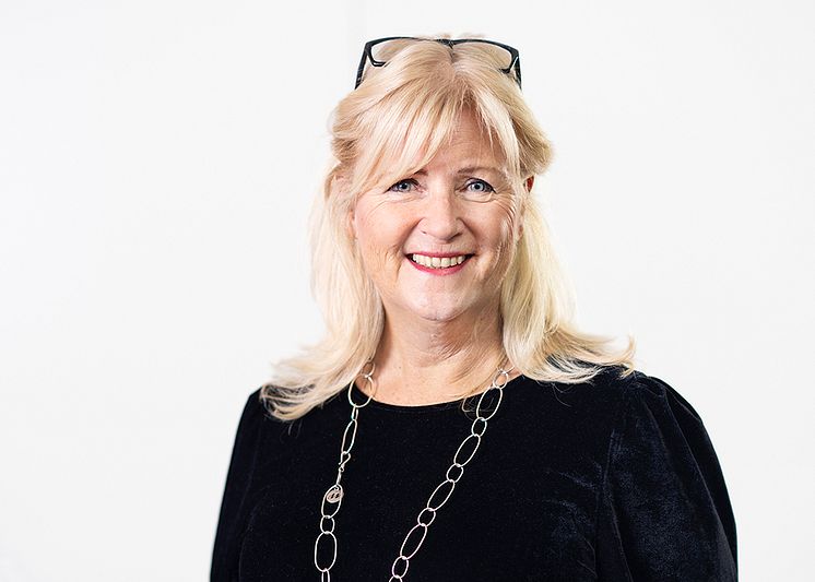 Ehälsa så in i Norden
