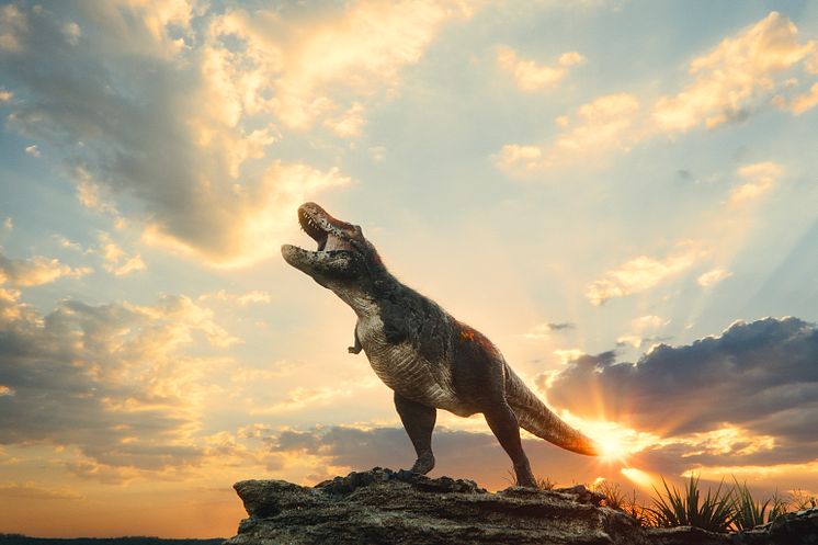 T-rex stor bild