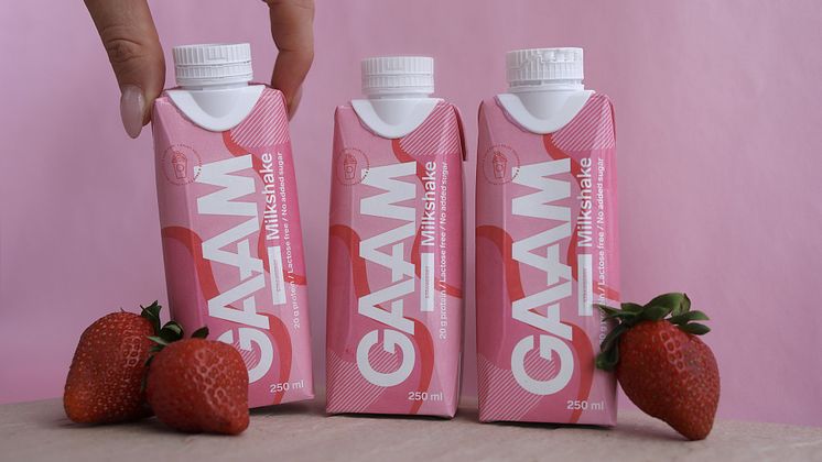 GAAM Milkshake Strawberry