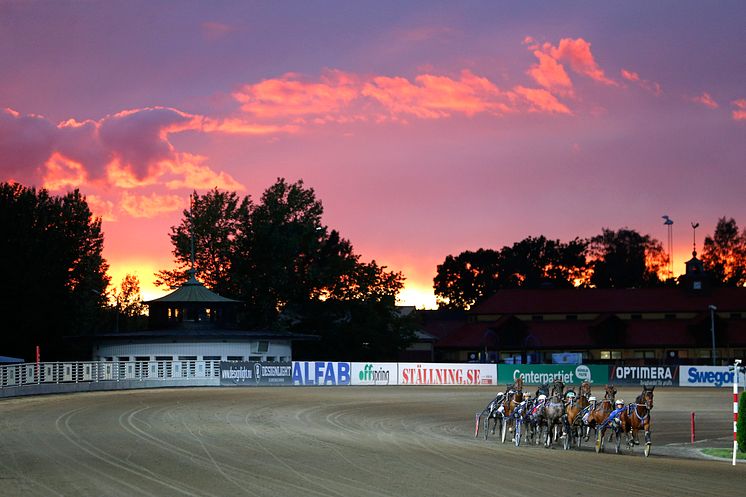 Travlopp Solvalla kvällshimmel