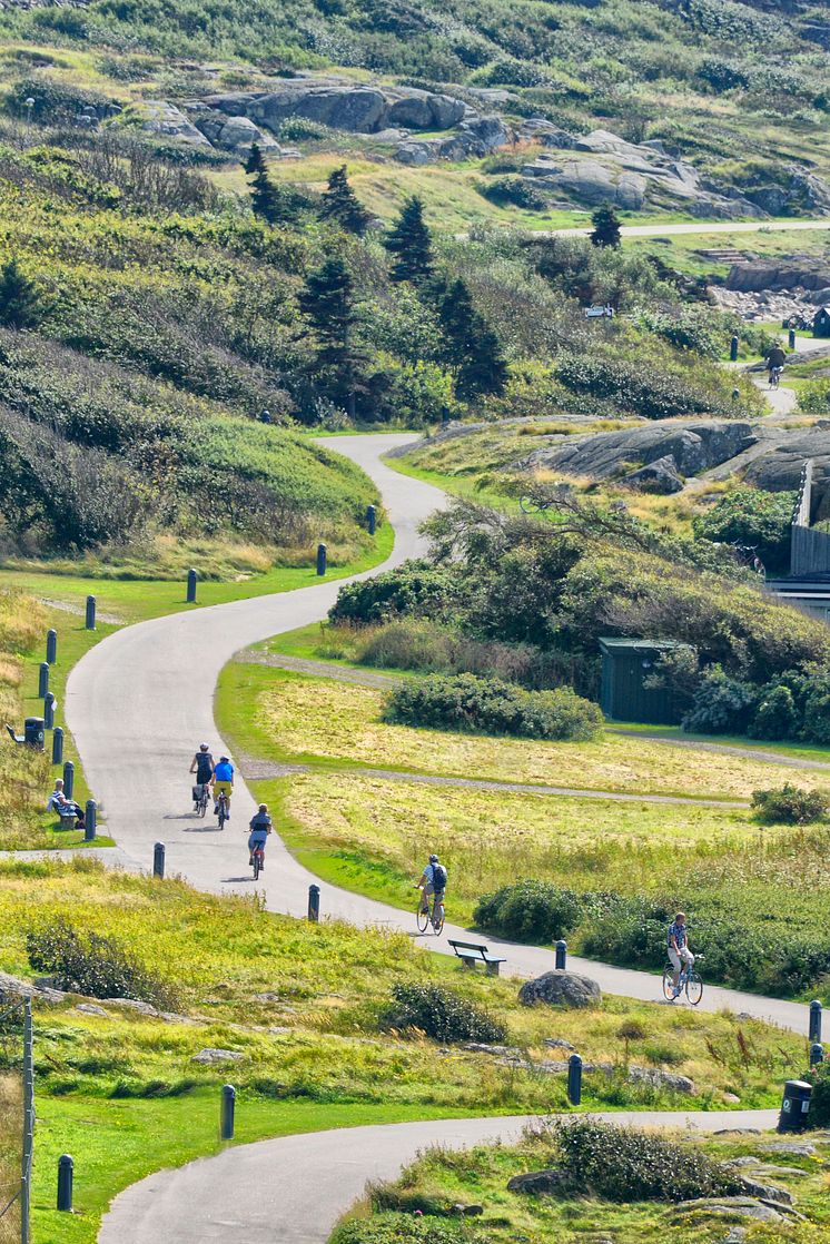 Cykla i Halland