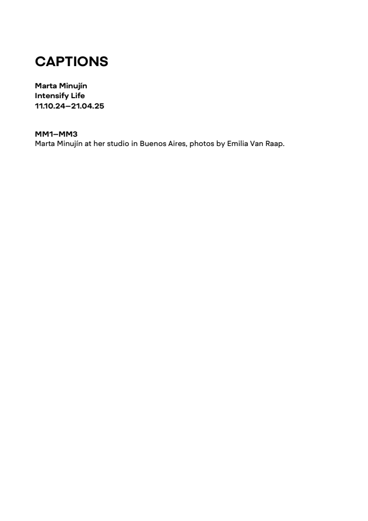 MM_CAPTIONS.pdf