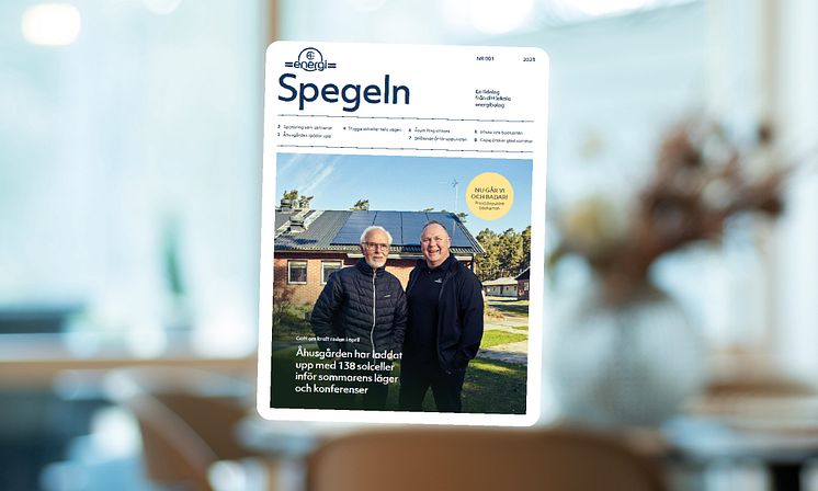 Spegeln inlägg mynewsdesk 1000 x 600 - 2px