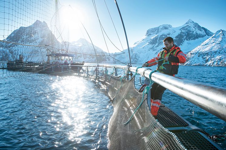 Salmon farmer in Norway