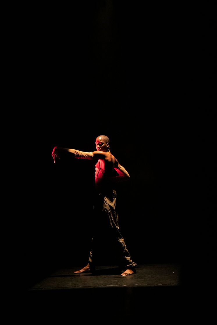 Company Nicolas Huchard - The barefoot diva