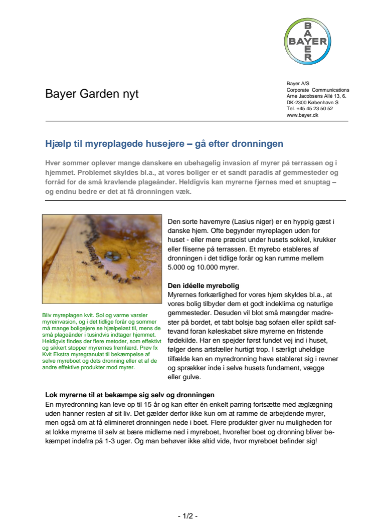 Bayer Garden Nyt: Hjælp til myreplagede husejere – gå efter dronningen 