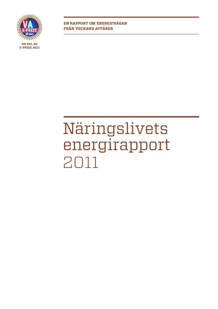 E-prize rapport 2011