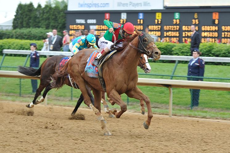 Animal Kingdom vinner Kentucky Derby 2011 med John Velazquez i sadeln